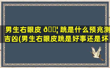男生右眼皮 🐦 跳是什么预兆测吉凶(男生右眼皮跳是好事还是坏事)